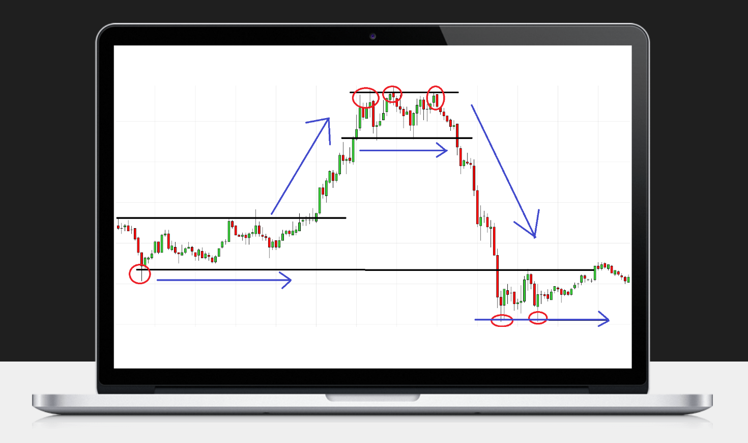 Acción del Precio Trading: Guía Completa para Principiantes