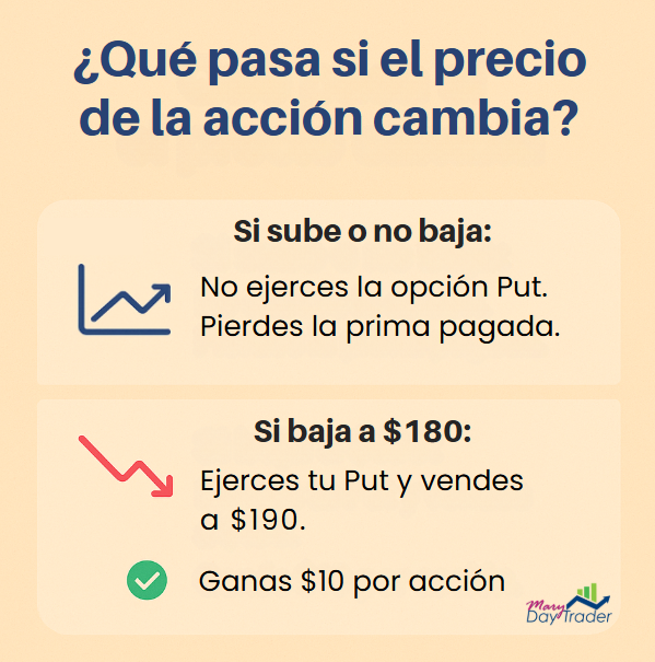 Explicación de qué sucede con una opción Put si el precio de la acción sube o baja